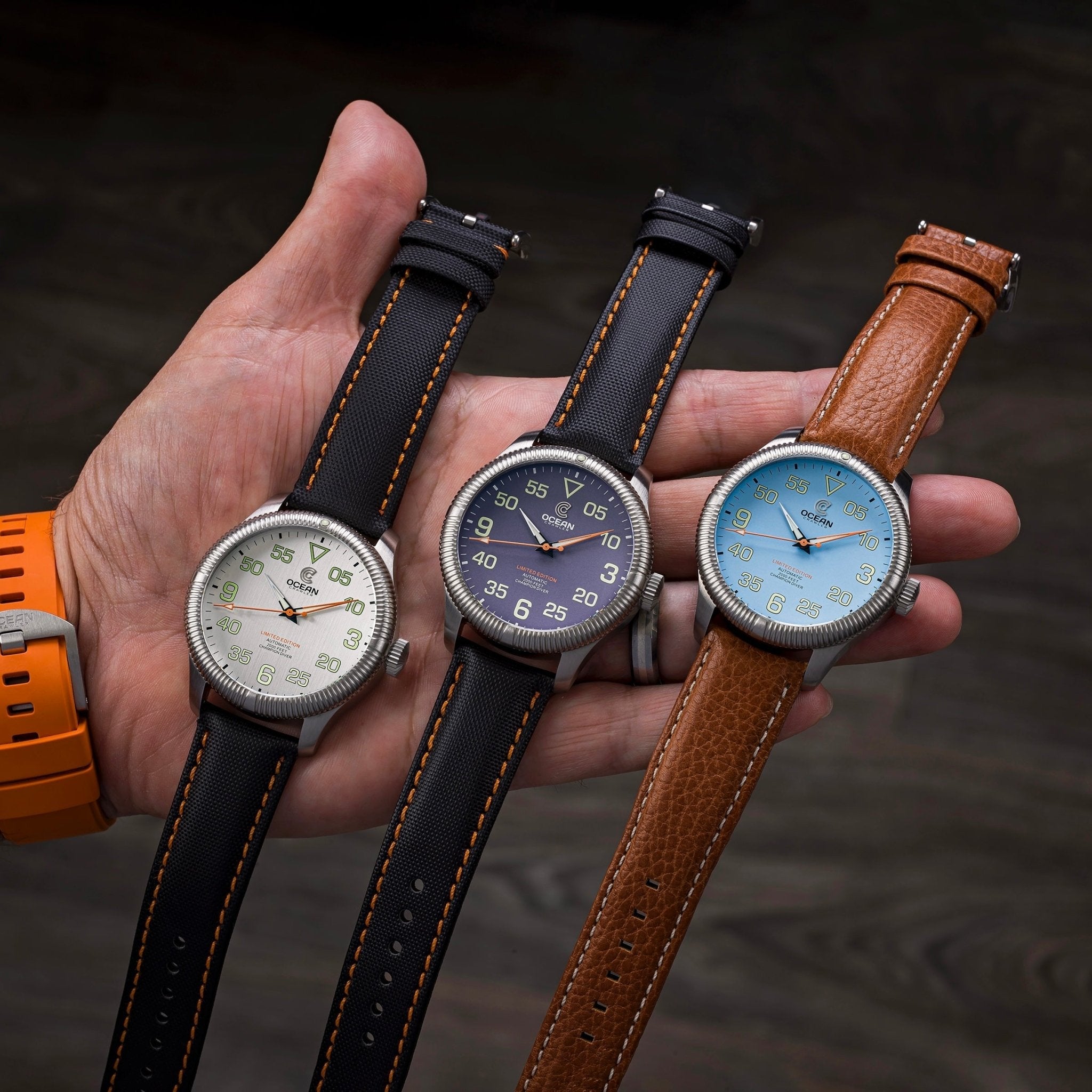 Champion Diver - Limited Edition - Clearwater